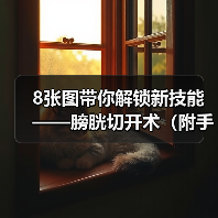 8张图带你解锁新技能——膀胱切开术(附手术视频)(图4) 8张图带你解锁新技能——膀胱切开术(附手术视频)(图4)