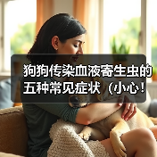 狗狗传染血液寄生虫的五种常见症状（小心！你的宠物可能感染了这些寄生虫）(图2)