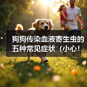 狗狗传染血液寄生虫的五种常见症状（小心！你的宠物可能感染了这 - 辰飞雨新生家伴