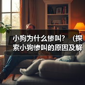 小狗为什么惨叫?(探索小狗惨叫的原因及解决方法)(图4) 小狗为什么惨叫?(探索小狗惨叫的原因及解决方法)(图4)