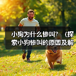 小狗为什么惨叫？（探索小狗惨叫的原因及解决方法） - 辰飞雨新生家伴