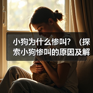 小狗为什么惨叫?(探索小狗惨叫的原因及解决方法)(图3) 小狗为什么惨叫?(探索小狗惨叫的原因及解决方法)(图3)