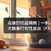 克维舒抗菌病例 | 一例犬跳蚤叮咬性皮炎(FAD)的病例分析(图3) 克维舒抗菌病例 | 一例犬跳蚤叮咬性皮炎(FAD)的病例分析(图3)