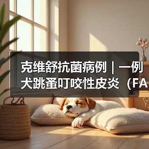 克维舒抗菌病例 | 一例犬跳蚤叮咬性皮炎(FAD)的病例分析(图2) 克维舒抗菌病例 | 一例犬跳蚤叮咬性皮炎(FAD)的病例分析(图2)