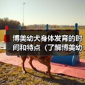 博美幼犬身体发育的时间和特点（了解博美幼犬身体成长的关键因素 - 辰飞雨新生家伴