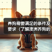 养狗需要满足的条件及要求(了解澳洲养狗的必备知识)(图3) 养狗需要满足的条件及要求(了解澳洲养狗的必备知识)(图3)
