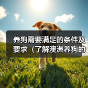 养狗需要满足的条件及要求(了解澳洲养狗的必备知识)(图4) 养狗需要满足的条件及要求(了解澳洲养狗的必备知识)(图4)