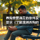 养狗需要满足的条件及要求（了解澳洲养狗的必备知识） - 辰飞雨新生家伴