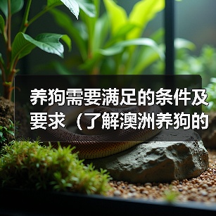 养狗需要满足的条件及要求(了解澳洲养狗的必备知识)(图2) 养狗需要满足的条件及要求(了解澳洲养狗的必备知识)(图2)