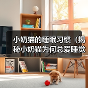 小奶猫的睡眠习惯(揭秘小奶猫为何总爱睡觉)(图4) 小奶猫的睡眠习惯(揭秘小奶猫为何总爱睡觉)(图4)