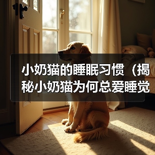 小奶猫的睡眠习惯(揭秘小奶猫为何总爱睡觉)(图3) 小奶猫的睡眠习惯(揭秘小奶猫为何总爱睡觉)(图3)