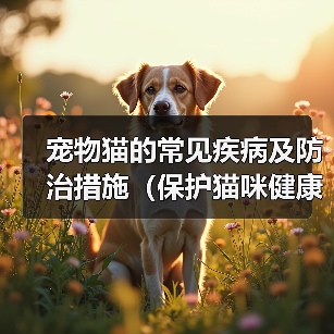 宠物猫的常见疾病及防治措施（保护猫咪健康的关键是及时发现问题并采取正确的治疗措施）(图3)
