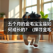 五个月的金毛宝宝是如何成长的？（探寻金毛宝宝五个月时的样貌和 - 辰飞雨新生家伴