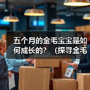 五个月的金毛宝宝是如何成长的？（探寻金毛宝宝五个月时的样貌和行为特点）(图3)