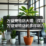 万盛宠物店大观（探索万盛宠物店的多样魅力）(图2)