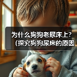 为什么狗狗老尿床上？（探究狗狗尿床的原因和解决办法） - 辰飞雨新生家伴