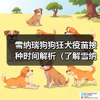 雪纳瑞狗狗狂犬疫苗接种时间解析（了解雪纳瑞狗狗的疫苗接种计划 - 辰飞雨新生家伴