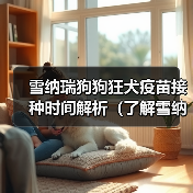 雪纳瑞狗狗狂犬疫苗接种时间解析（了解雪纳瑞狗狗的疫苗接种计划，守护它的健康）(图2)