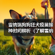 雪纳瑞狗狗狂犬疫苗接种时间解析（了解雪纳瑞狗狗的疫苗接种计划，守护它的健康）(图3)