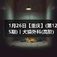 1月26日【重庆】(第125期)丨犬猫外科(高阶)班！含SU - 辰飞雨新生家伴