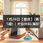1月26日【重庆】(第125期)丨犬猫外科(高阶)班！含SUB(人人可实操)、乳糜胸等技术！(图4)