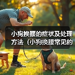 小狗换腰的症状及处理方法（小狗换腰常见的症状及如何帮助他们）(图4)