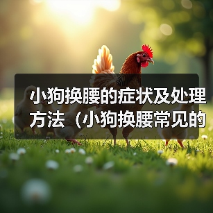 小狗换腰的症状及处理方法（小狗换腰常见的症状及如何帮助他们）(图3)