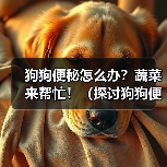 狗狗便秘怎么办？蔬菜来帮忙！（探讨狗狗便秘问题以及缓解便秘的营养蔬菜）(图2)