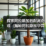 探索阿拉斯加的配窝奇观（揭秘阿拉斯加孕育新生命的神秘过程）(图4)