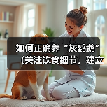 如何正确养“灰鹦鹉”（关注饮食细节，建立良好的生活环境，培养亲密关系）(图3)
