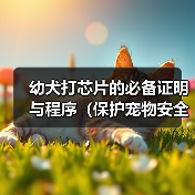 幼犬打芯片的必备证明与程序（保护宠物安全与健康的重要举措） - 辰飞雨新生家伴