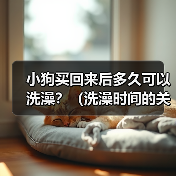小狗买回来后多久可以洗澡？（洗澡时间的关键是宝宝的年龄和健康状况）(图2)
