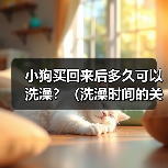 小狗买回来后多久可以洗澡？（洗澡时间的关键是宝宝的年龄和健康状况）(图4)