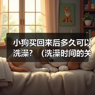 小狗买回来后多久可以洗澡？（洗澡时间的关键是宝宝的年龄和健康 - 辰飞雨新生家伴