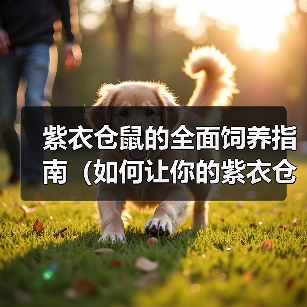 紫衣仓鼠的全面饲养指南（如何让你的紫衣仓鼠健康快乐成长？） - 辰飞雨新生家伴