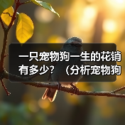 一只宠物狗一生的花销有多少？（分析宠物狗一生所需费用，帮你预 - 辰飞雨新生家伴