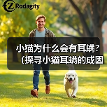 小猫为什么会有耳螨？（探寻小猫耳螨的成因及防治方法） - 辰飞雨新生家伴