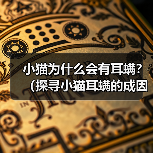 小猫为什么会有耳螨？（探寻小猫耳螨的成因及防治方法）(图4)