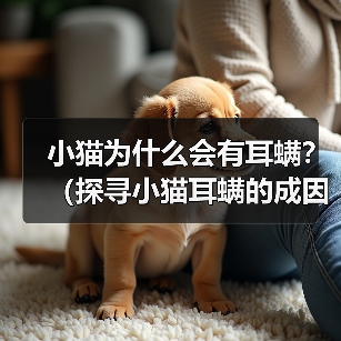 小猫为什么会有耳螨？（探寻小猫耳螨的成因及防治方法）(图2)