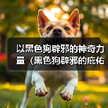 以黑色狗辟邪的神奇力量（黑色狗辟邪的庇佑与保护）(图3)