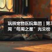瑞辰宠物医院集团 | 第3周“每周之星”光荣榜(图2)