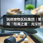 瑞辰宠物医院集团 | 第3周“每周之星”光荣榜 - 辰飞雨新生家伴
