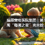 瑞辰宠物医院集团 | 第3周“每周之星”光荣榜(图4)