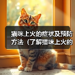 猫咪上火的症状及预防方法（了解猫咪上火的迹象，保护它们的健康）(图3)