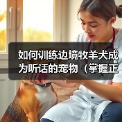如何训练边境牧羊犬成为听话的宠物（掌握正