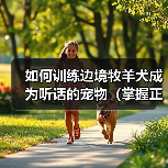 如何训练边境牧羊犬成为听话的宠物（掌握正确的训练技巧，让爱犬成为温顺听话的好伙伴）(图2)