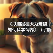 《以捕鼠梗犬为宠物，如何科学饲养》（了解捕鼠梗犬的特点，让它成为你的忠实伴侣）(图3)