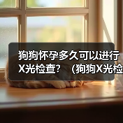 狗狗怀孕多久可以进行X光检查？（狗狗X光检查的安全性及适合时机分析）(图2)