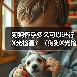 狗狗怀孕多久可以进行X光检查？（狗狗X光检查的安全性及适合时机分析）(图4)