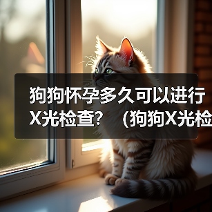 狗狗怀孕多久可以进行X光检查？（狗狗X光检查的安全性及适合时机分析）(图3)